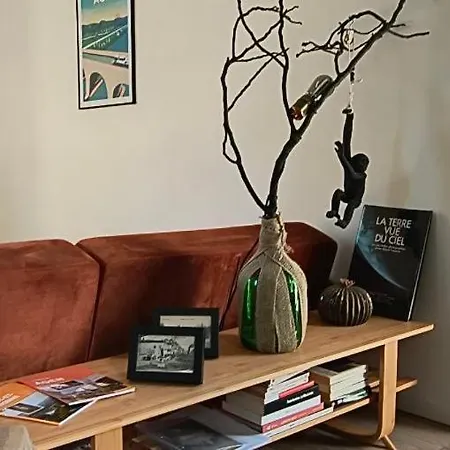 Maison Du Pont Canal Апартаменты Ажен